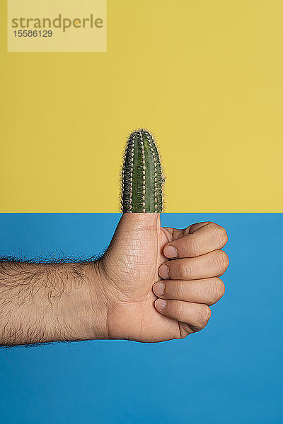 Studioaufnahme einer Männerhand  die den Daumen nach oben streckt  der Daumen wird durch einen Kaktus ersetzt  vor einem gelb-blauen Hintergrund