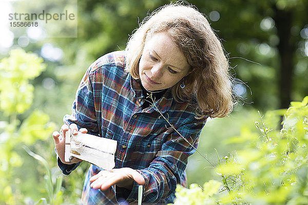 Mittlere erwachsene Frau bei der Auswahl von Samen für ihren Garten