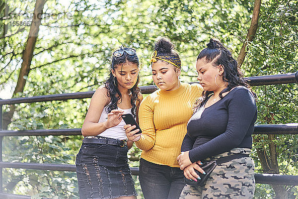 Junge Frau mit jugendlichen Schwestern betrachtet Smartphone im Park