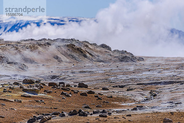 Karge Landschaft mit Dampf  der über Felsen aufsteigt  Akureyri  Eyjafjardarsysla  Island