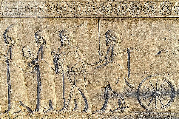 Apadana-Treppenhausfassade  Relief der Achämeniden  Meder und Perser  Persepolis  UNESCO-Weltkulturerbe  Provinz Fars  Islamische Republik Iran  Naher Osten