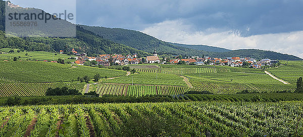 Dorf in den Weinbergen  Pfalz  Rheinland Pfalz  Deutschland