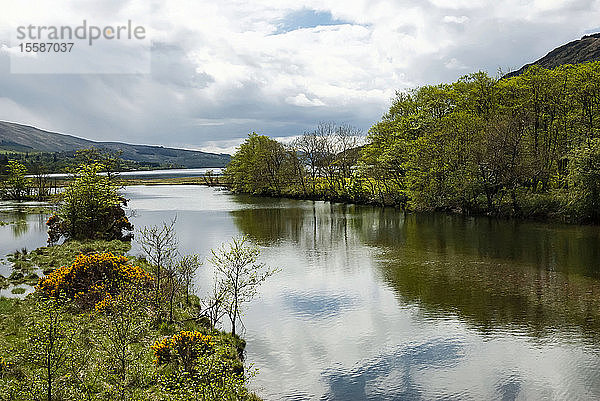 Loch Fyne  Argyll und Bute  Schottland  Vereinigtes Königreich