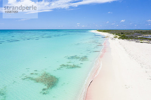 Luftaufnahme einer Drohne vom rosa Sandstrand  der vom kristallklaren Wasser des Karibischen Meeres umspült wird  Antillen  Westindische Inseln  Karibik