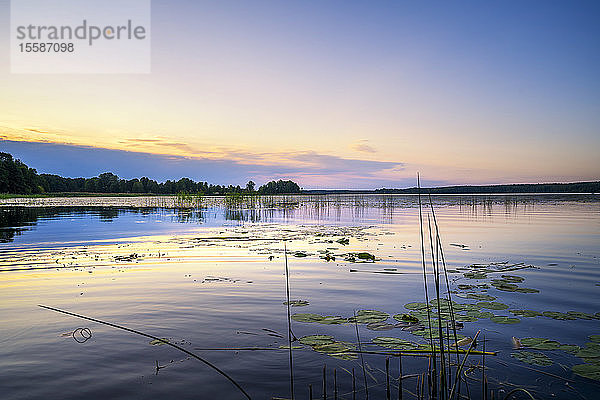 Sonnenuntergang über dem Juglas-See  lettische Natur  Riga  Lettland