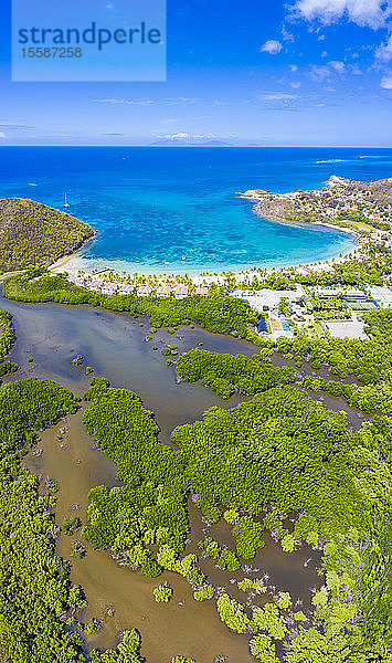 Luftaufnahme von Carlisle Bay Beach  Antigua  Leeward-Inseln  Westindien  Karibik  per Drohne