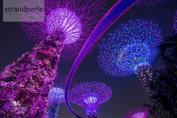 Die Supertrees der Gardens by the Bay mit Hochsteg  bei Nacht  Singapur  Südostasien