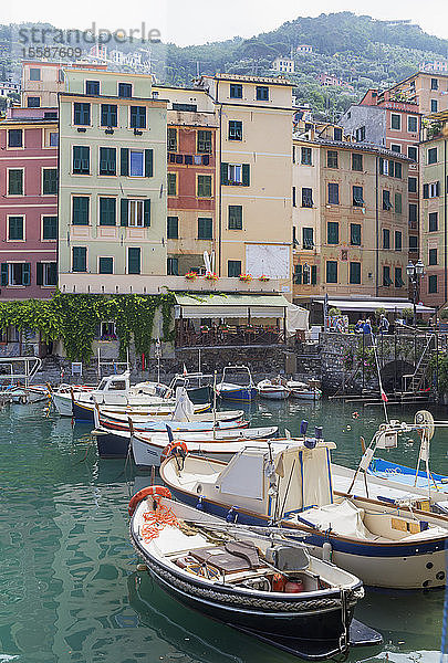 Fischereihafen Camogli  Camogli  Riviera di Levante  Ligurien  Italien