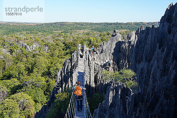 Tsingy de Bemaraha-Nationalpark  UNESCO-Welterbe  Region Melaky  West-Madagaskar  Afrika