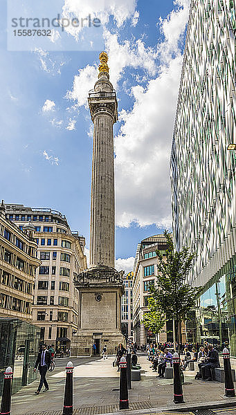 Das Denkmal für den Großen Brand von London in der City of London  London  England  Vereinigtes Königreich