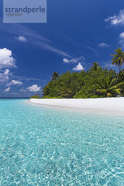 Schöner Sandstrand  Lagune und Palmen  Malediven  Indischer Ozean