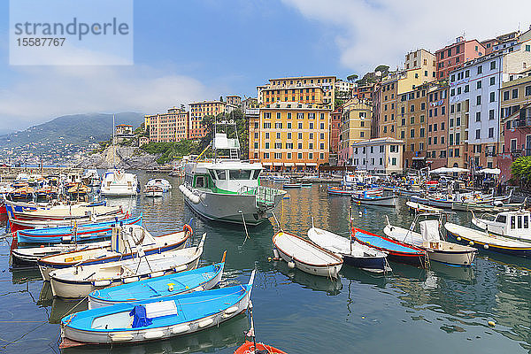 Fischereihafen Camogli  Camogli  Riviera di Levante  Ligurien  Italien