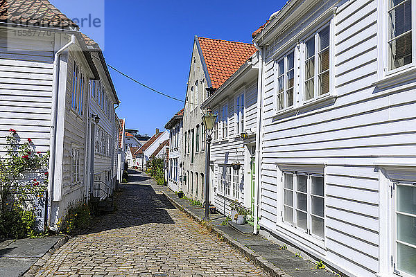 Schöne Altstadt  gepflasterte Straße  Blumen und weiße Holzhäuser  blauer Himmel im Sommer  Gamle Stavanger  Rogaland  Norwegen  Skandinavien