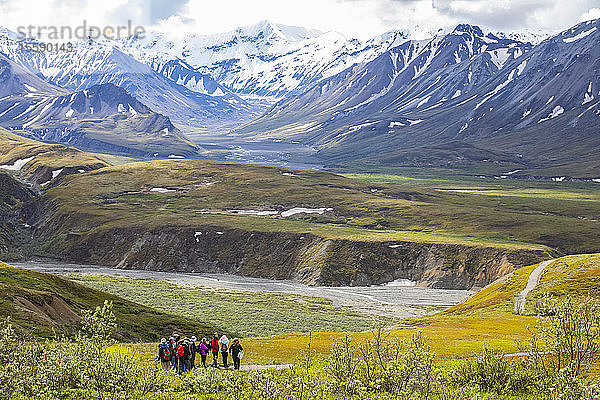 Ein Park Ranger führt eine Gruppe von Besuchern auf einer Wanderung in der Nähe des Eielson Visitor Center  Denali National Park and Preserve  Interior Alaska; Alaska  Vereinigte Staaten von Amerika