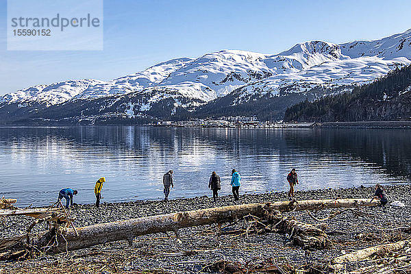 Strandläufer wandern an den Stränden um Whittier  Alaska  mit Teilen von Whittier im Hintergrund  Süd-Zentral-Alaska; Whittier  Alaska  Vereinigte Staaten von Amerika