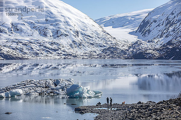 Wanderer und Hund gehen am Ufer des Portage Lake entlang  um die Eisberge zu sehen  die vom Portage-Gletscher auf der anderen Seite des Sees abgebrochen sind; Süd-Zentral-Alaska; Alaska  Vereinigte Staaten von Amerika