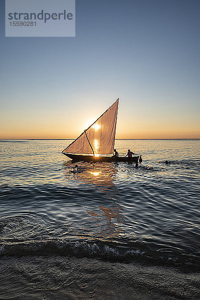 Dhow auf dem Indischen Ozean bei Sonnenuntergang; Sansibar-Stadt  Unguja-Insel  Sansibar  Tansania