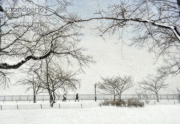 Schneefall am Jacqueline Kennedy Onassis Reservoir  Central Park; Manhattan  New York  Vereinigte Staaten von Amerika