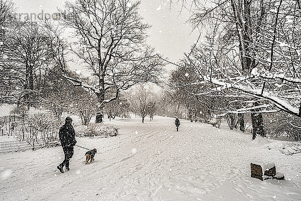 Fußgänger und ein Hund spazieren auf dem schneebedeckten Weg während eines Schneefalls im Central Park; New York City  New York  Vereinigte Staaten von Amerika
