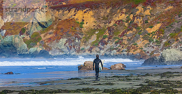 Surfer zu Fuß mit Surfbrett am Dillon Beach; Kalifornien  Vereinigte Staaten von Amerika