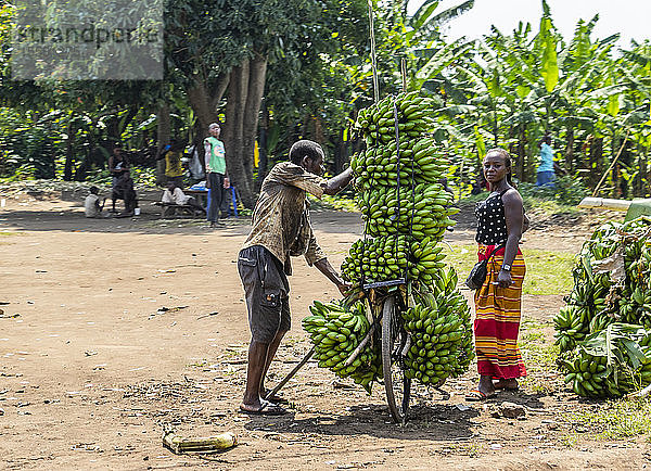 Bananenverkäufer am Straßenrand; Kadindimo  Western Region  Uganda