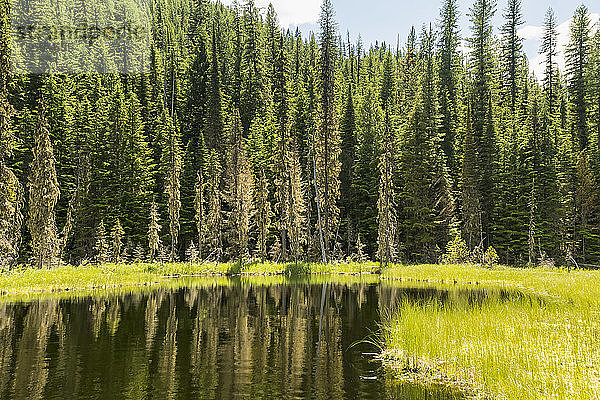 Huff Lake im Spätsommer  Kaniksu National Forest; Idaho  Vereinigte Staaten von Amerika