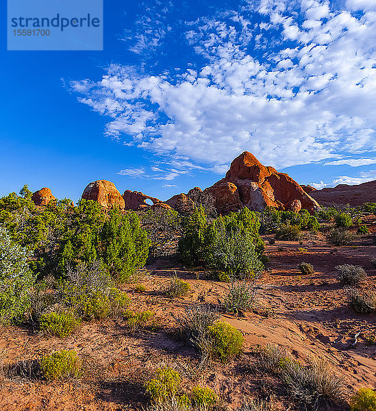 Sandsteinformationen  Arches National Park; Utah  Vereinigte Staaten von Amerika