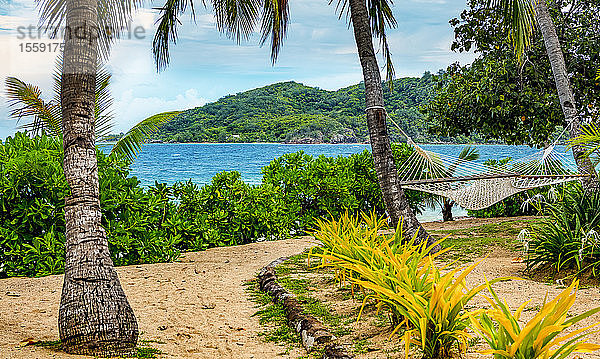 Hängematte am Strand mit Blick auf die Küstenlinie der Insel Malolo; Malolo Island  Fidschi