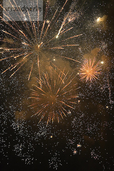 Blick auf ein Feuerwerk  das am Himmel glitzert.