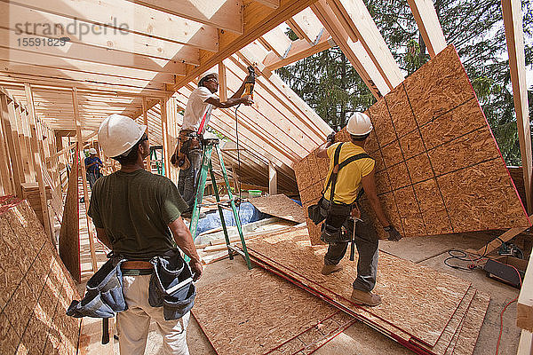 Zimmerleute bei der Arbeit auf einer Baustelle