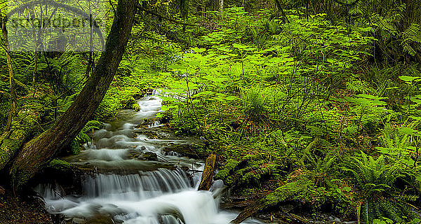 Bridal Veil Falls  Bridal Veil Falls Provincial Park; British Columbia  Kanada