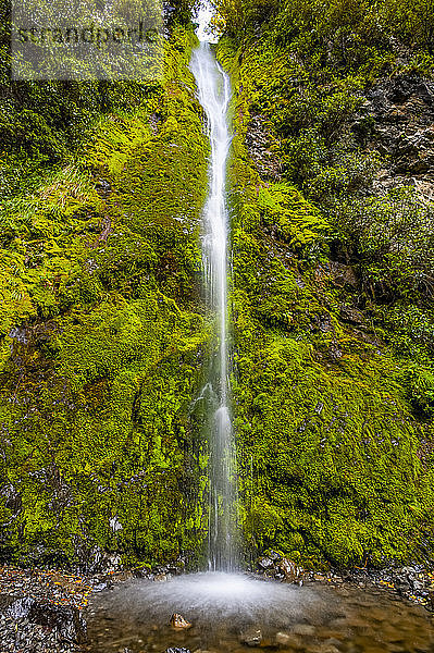 Dog Stream Wasserfall  Hanmer Springs; Südinsel  Neuseeland