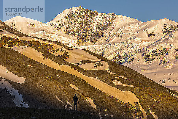 Ein Mann steht als Silhouette vor dem M'Ladies Mountain bei Sonnenuntergang in der Alaska Range; Alaska  Vereinigte Staaten von Amerika