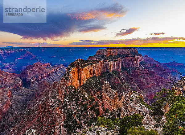 North Rim des Grand Canyon bei Sonnenuntergang; Arizona  Vereinigte Staaten von Amerika