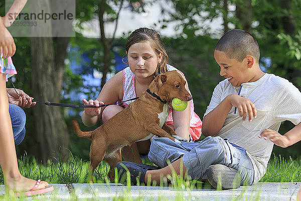 Hispanischer Junge mit Autismus spielt mit seinem Hund und seiner Familie im Park