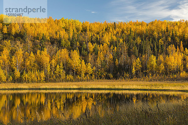 Herbstfarben spiegeln sich in einem See in Interior Alaska; Alaska  Vereinigte Staaten von Amerika