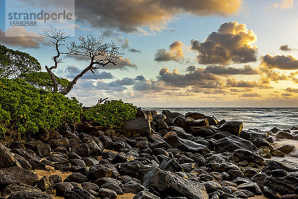 Sonnenaufgang über dem Pazifischen Ozean von den Felsen an der Küste von Kauai; Kauai  Hawaii  Vereinigte Staaten von Amerika