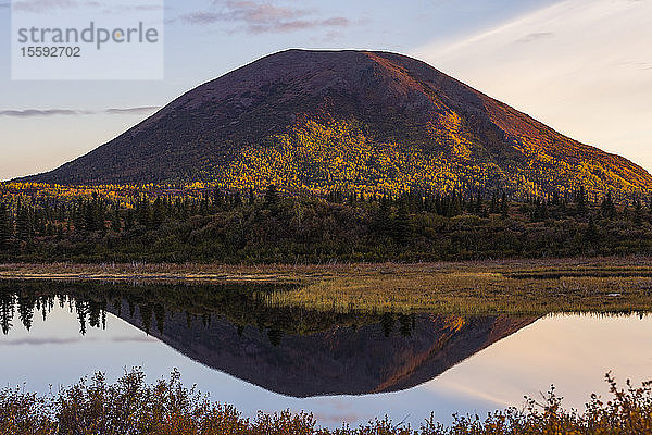 Donnelly Dome spiegelt sich im Donnelly Lake bei Sonnenaufgang im Herbst; Alaska  Vereinigte Staaten von Amerika