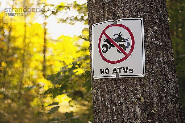 ATV-Verbotsschild an einem Baum