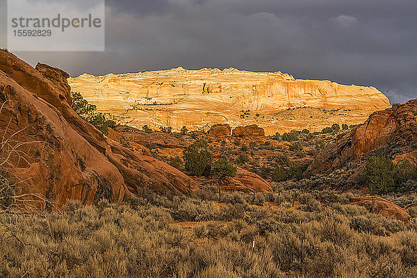 Die erstaunlichen Sandstein- und Felsformationen von South Coyote Butte; Arizona  Vereinigte Staaten von Amerika