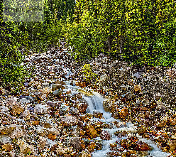 Über Felsen fließender Bach in einem Wald; Alberta  Kanada