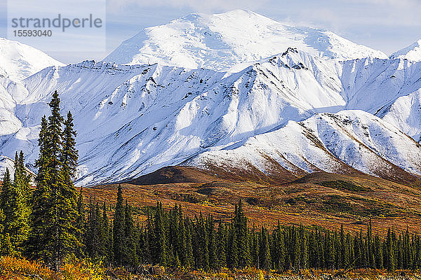 Neuschnee bedeckt die Berge im Herbst im Denali National Park and Preserve; Alaska  Vereinigte Staaten von Amerika