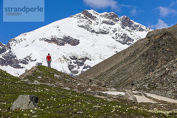 Mount Silvertip erhebt sich über einem Mann auf einer alpinen Wiese in der Nähe der Thayer Hut in der Alaska Range; Alaska  Vereinigte Staaten von Amerika