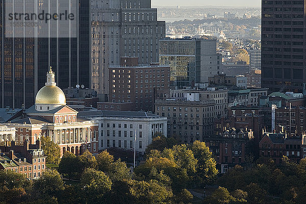 Blick von oben auf ein Regierungsgebäude mit einem öffentlichen Park  Boston Common  Massachusetts State House  Boston  Massachusetts  USA