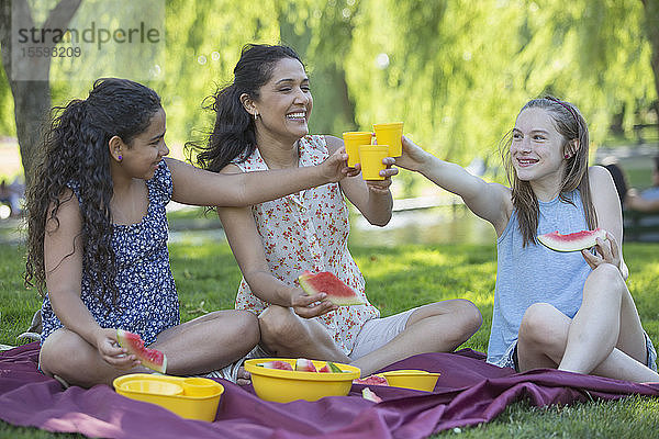 Glückliche hispanische Familie beim Picknick im Park