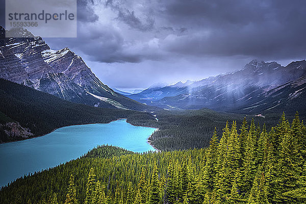 Regen über dem Peyto Lake  Banff National Park; Alberta  Kanada