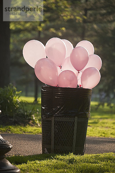 Luftballons in einer Mülltonne in einem Park  Boston  Suffolk County  Massachusetts  USA