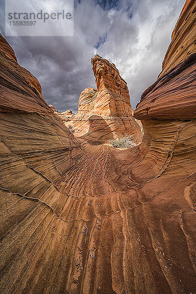 Die erstaunlichen Sandstein- und Felsformationen von South Coyote Butte; Arizona  Vereinigte Staaten von Amerika