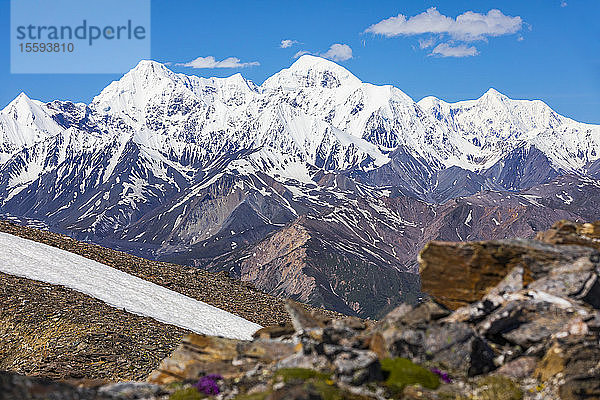 Sommeransicht von McGinnis Peak (links)  Mount Moffit (Mitte) und Mount Hayes (rechts) in der östlichen Alaska Range; Alaska  Vereinigte Staaten von Amerika