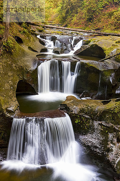 Cliff Falls  zahlreiche Wasserfälle  die über gestufte Becken und Felsvorsprünge fließen; Maple Ridge  British Columbia  Kanada